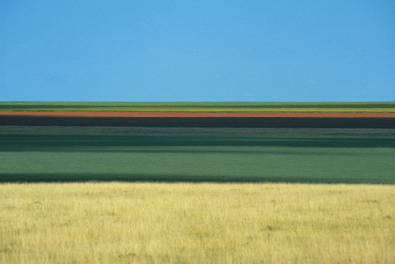 Texas, 1979