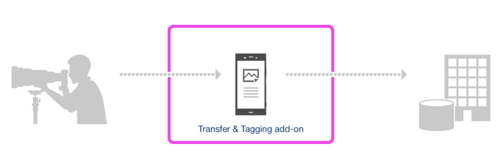 sony-transfer-tagging