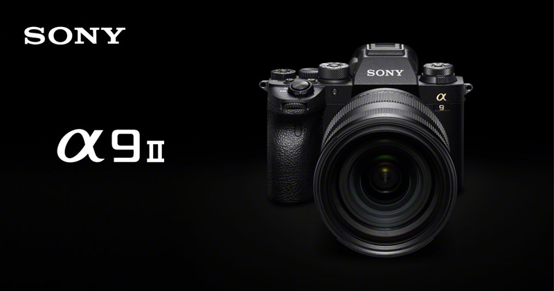 fotopuntoit_sony-a9ii_head