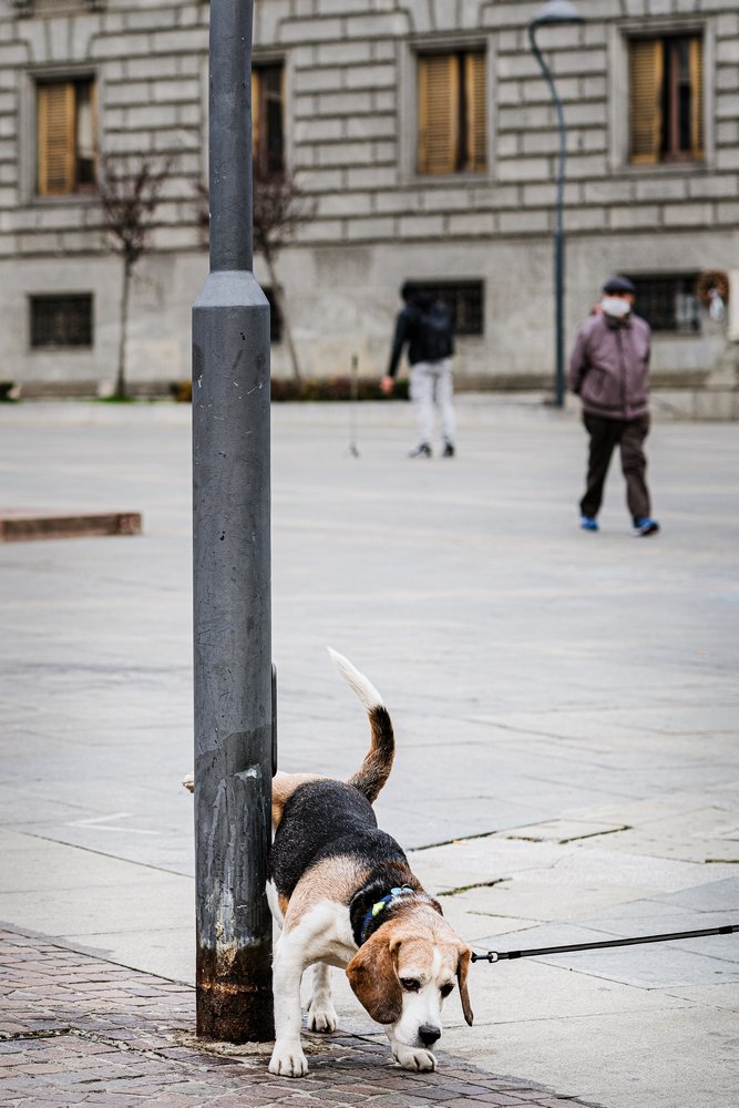 uFujifilm-GFX100S-e-GF-80mm-f/1.7-R-WR
