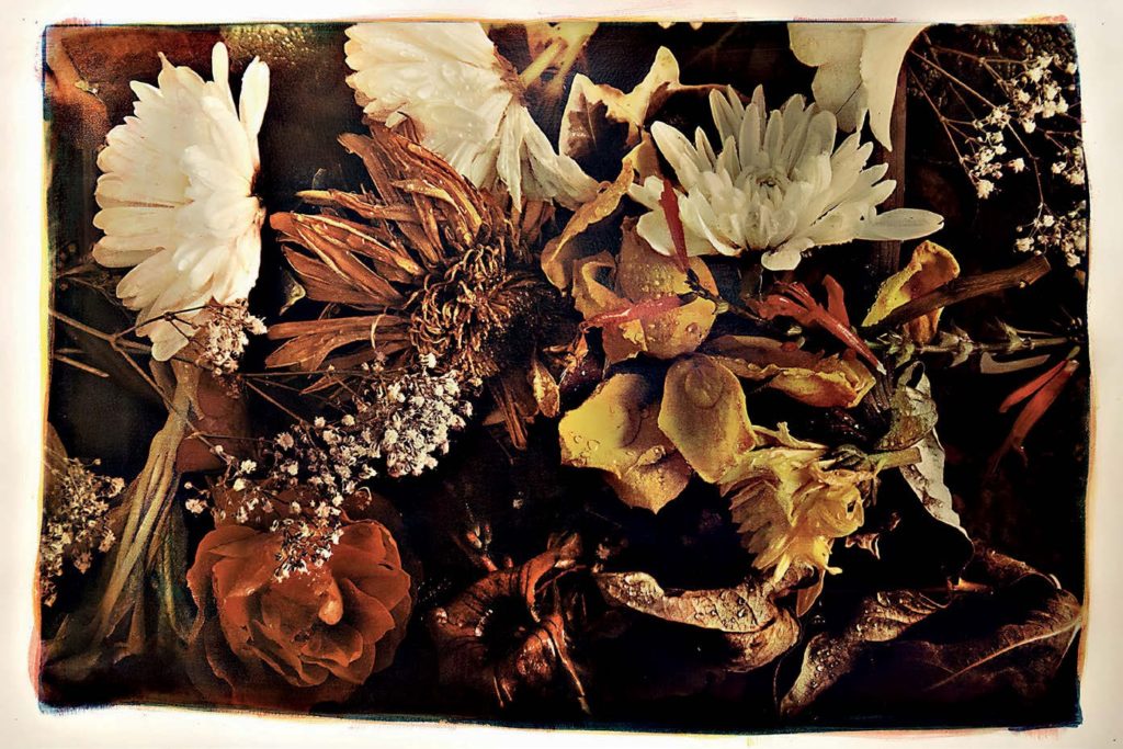 Gomma bicromatata in tricromia su cianotipia.