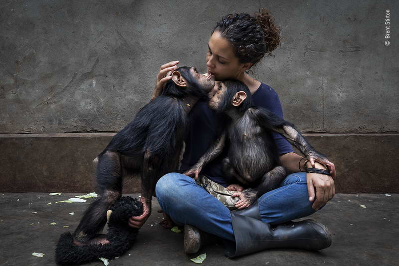 ©-Brent-Stirton-Wildlife-Photographer-of-the-Year