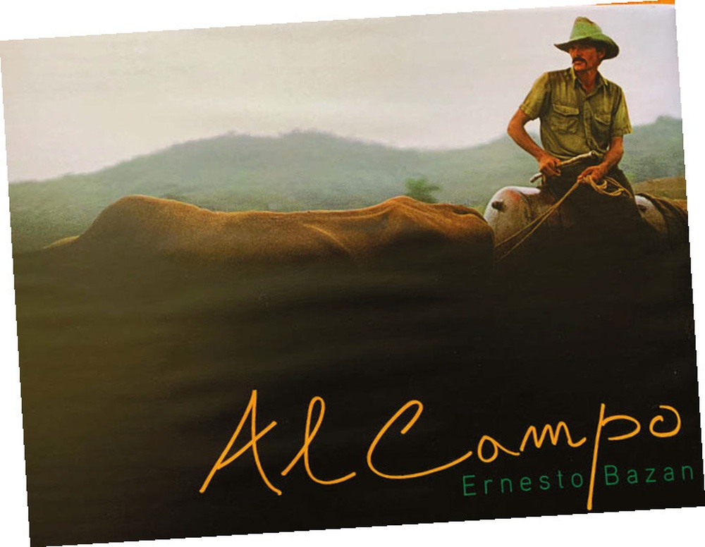 Copertina del libro Al campo