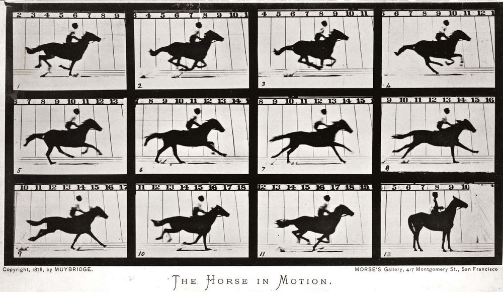 Eadweard Muybridge - The Horse in Motion (1878)