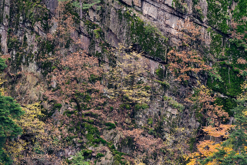 A ISO 100 la nitidezza di quest’ottica a 600mm, la focale probabilmente più usata, è davvero molto buona; le aberrazioni sono molto contenute, perfettamente risolvibili in Camera Raw