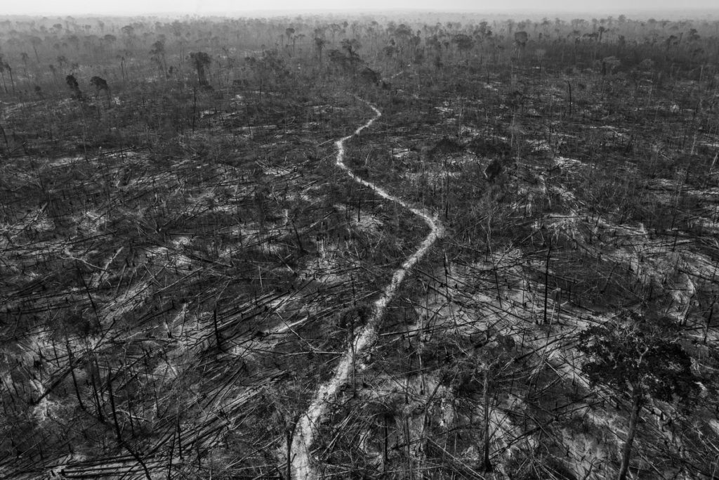 012_World Press Photo Long-Term Project Award_Lalo de Almeida_for Folha de São Paulo_Panos Pictures