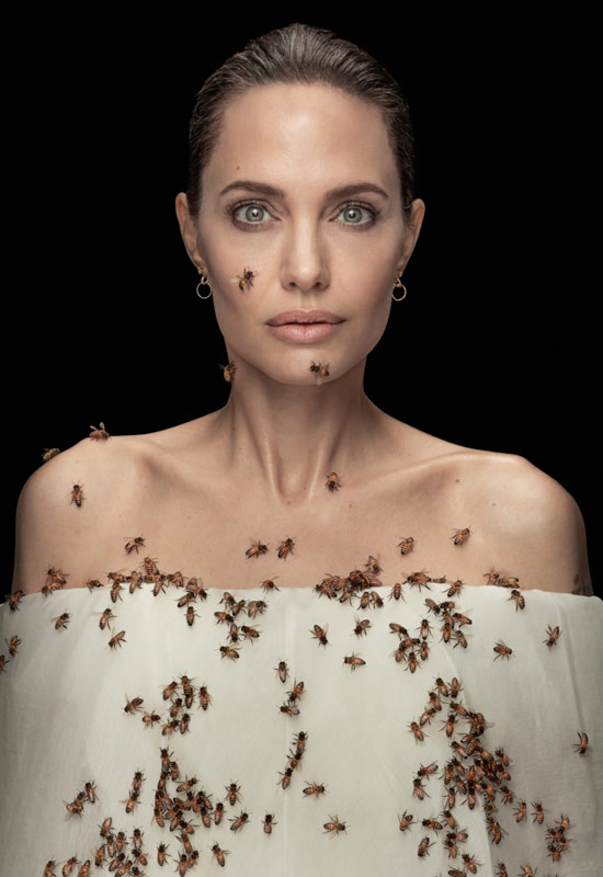 fotopuntoit_angelina-jolie-and-bees-number-1_dan-winters