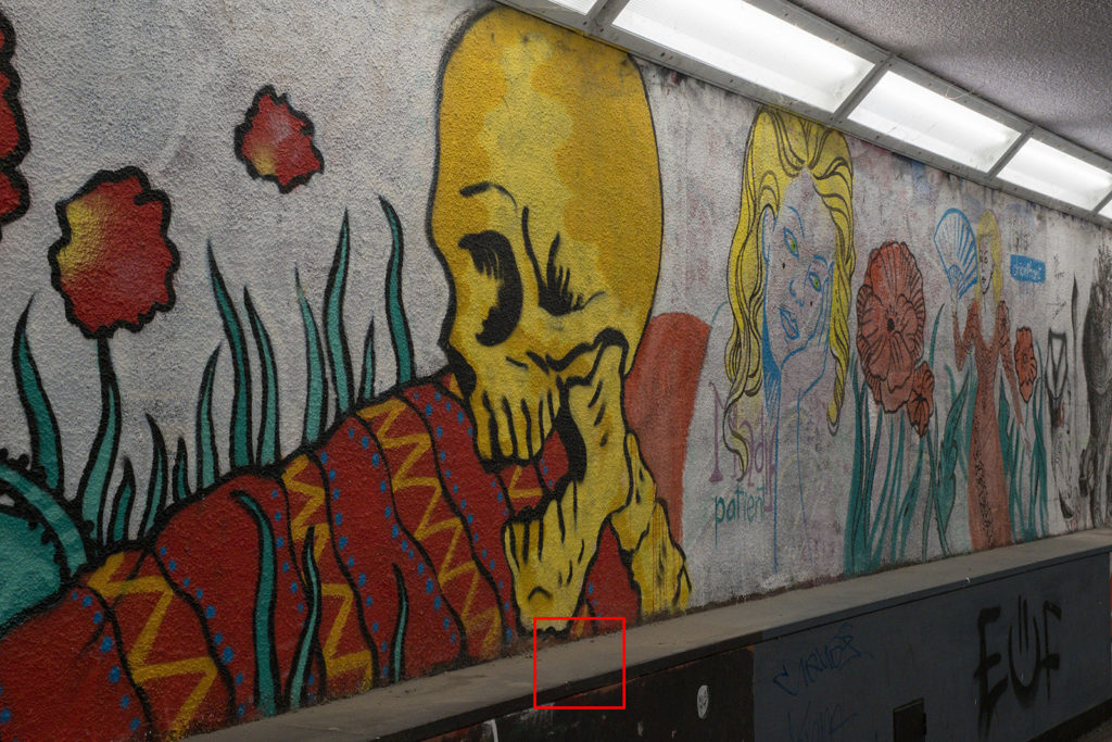 fotopuntoit_fujifilm_x-h2_16a_Rumore