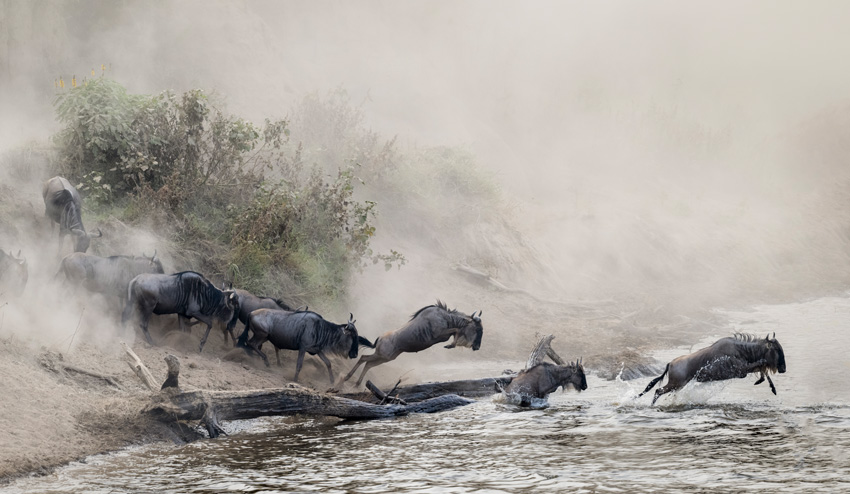 © Arnfinn Johansen, Norway, Shortlist, Open Competition, Natural World & Wildlife, Sony World Photography Awards 2023