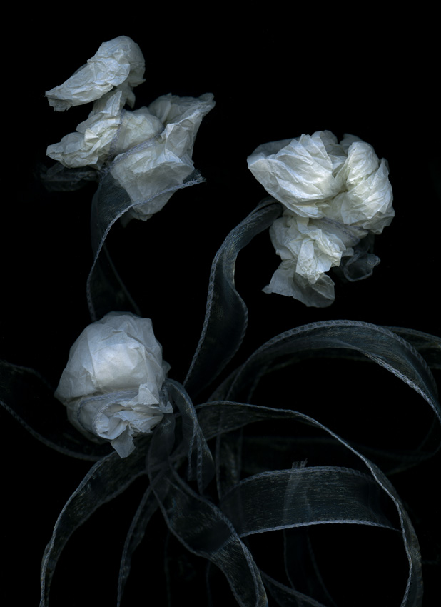 ©-Mieke-Douglas-Netherlands-Winner-Open-Competition-Object-Sony-World-Photography-Awards-2023