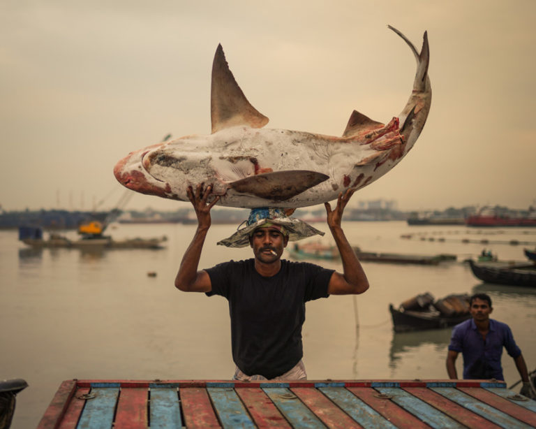 © Sabbir Hossen, Bangladesh, Shortlist, Open Competition, Lifestyle, Sony World Photography Awards 2023