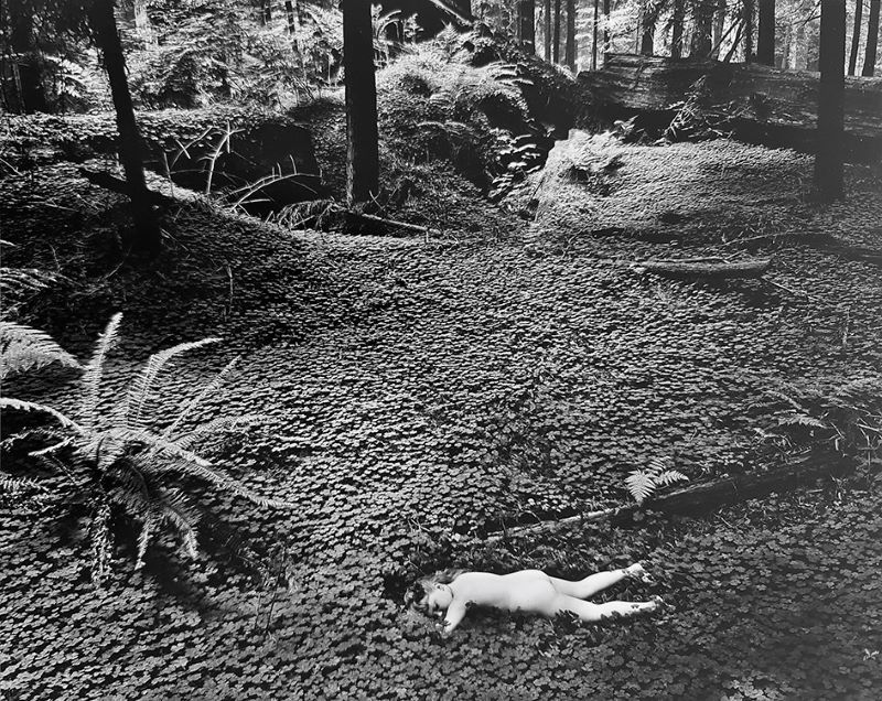 fotopuntoit_PURE-PHOTOGRAPHY-Wynn-BullockChild-in-the-Forest_1951_©Wynn-Bullock-Photography-LLC-_-all-rights-reserved