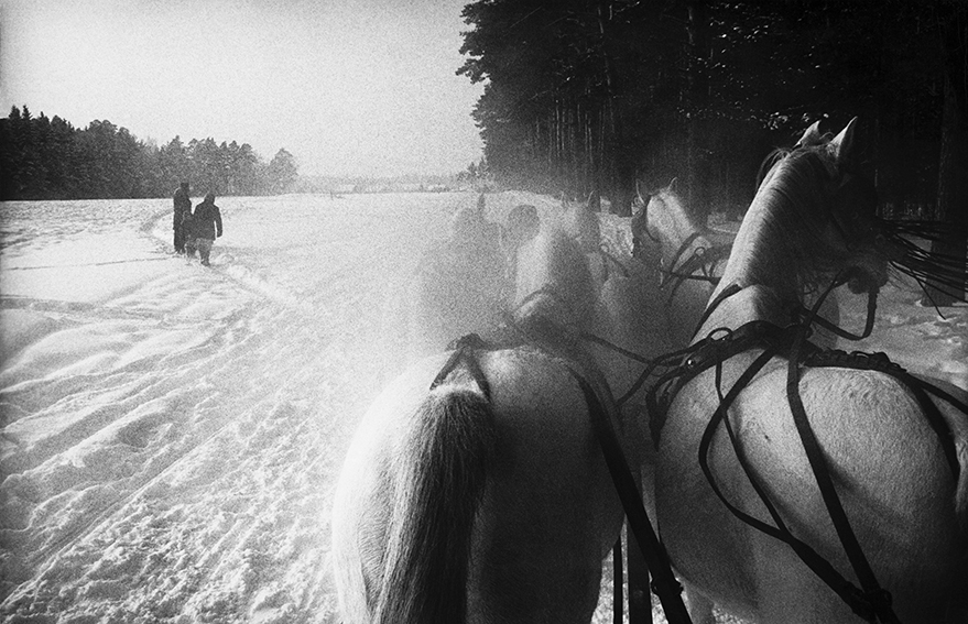 USSR. Piatnika. Cinque cavalli trainano una slitta a 40 miglia da Mosca. 1965. 