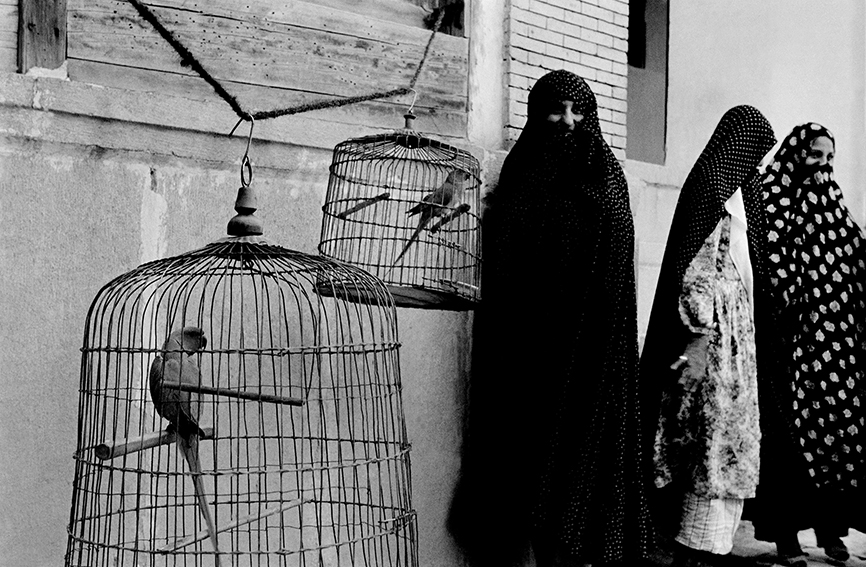 Tre donne con i loro pappagalli. Iran, 1956. 