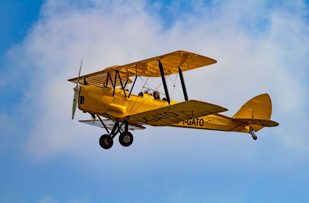 Una bella immagine del Tiger Moth in volo.