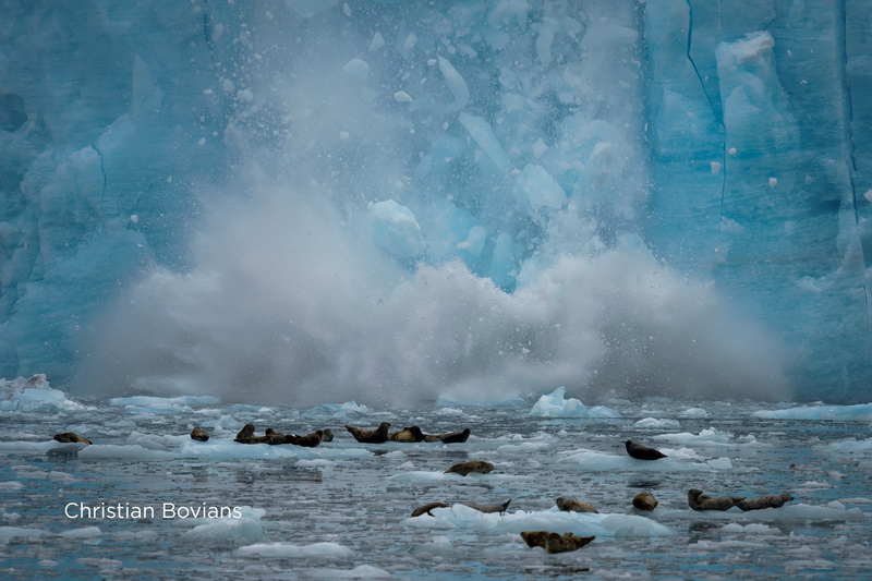 Christian Bovians, CEWE Photo  Award