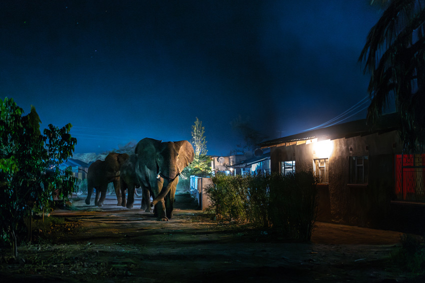 ©-Jasper-Doest-Netherlands-Finalist-Professional-competition-Wildlife-Nature-Sony-World-Photography-Awards-2024-