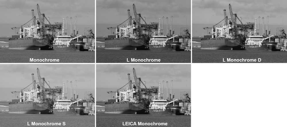 fotopuntoit_lumix_s1rii_P1_18_Monocromatiche