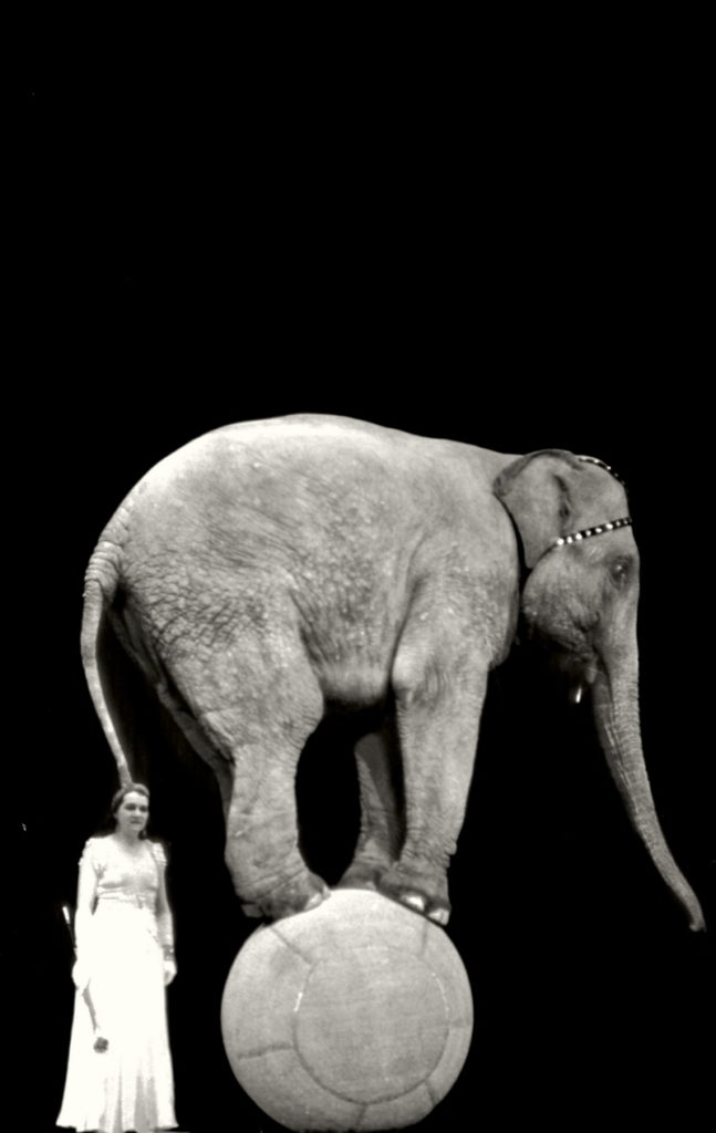 Alfred Eisenstaedt Circo Europa, anni Trenta © Alfred Eisenstaedt / The LIFE Picture Collection / Shutterstock