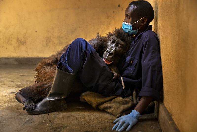 Brent Stirton la mostra “Virunga: 100 anni”.