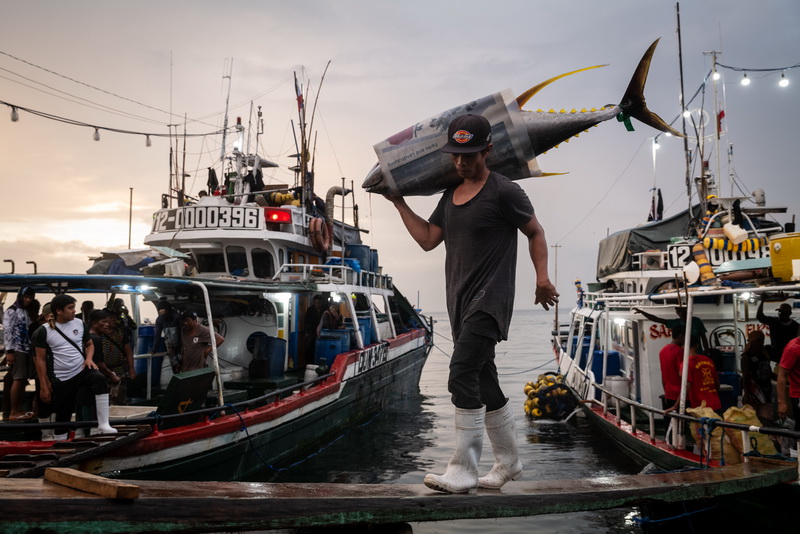 Pescatori filippini scaricano il tonno pinna gialla, Bigeye tuna e Marlin Blu dopo essere stati in mare per circa un mese