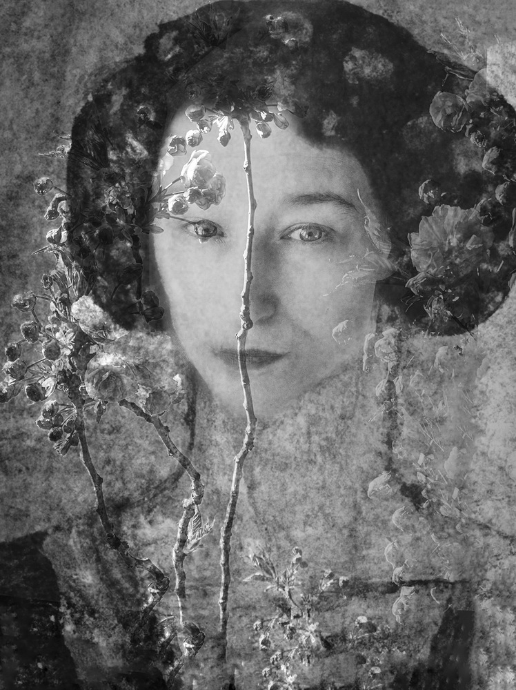 Jessen Loe Stine