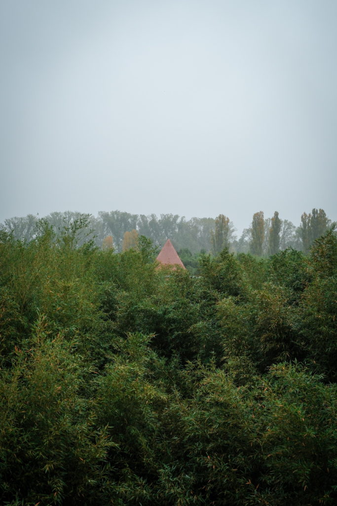 fotopuntoit_fujifilm_x-t30-iii_09
