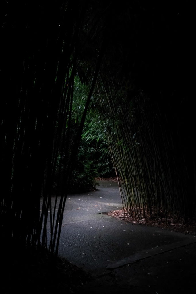 fotopuntoit_fujifilm_x-t30-iii_13