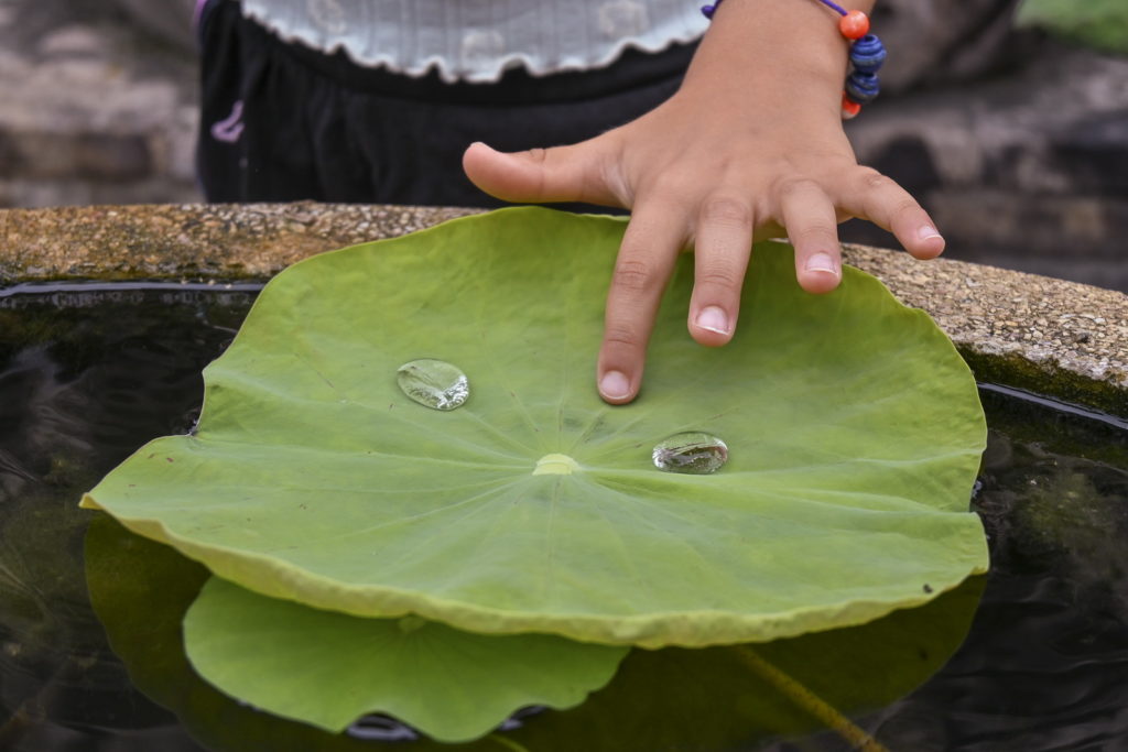 fotopuntoit_nikon_z30_Dettagli-Wat-Chedi-Luang-Chiang-Mai-Thailand-ph-Stefano-Michelin