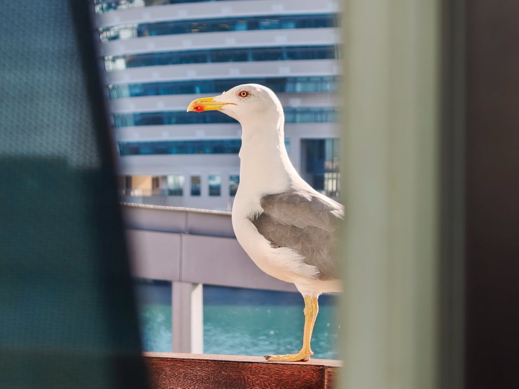 fotopuntoit_oppo_find-x9-pro_prova__04