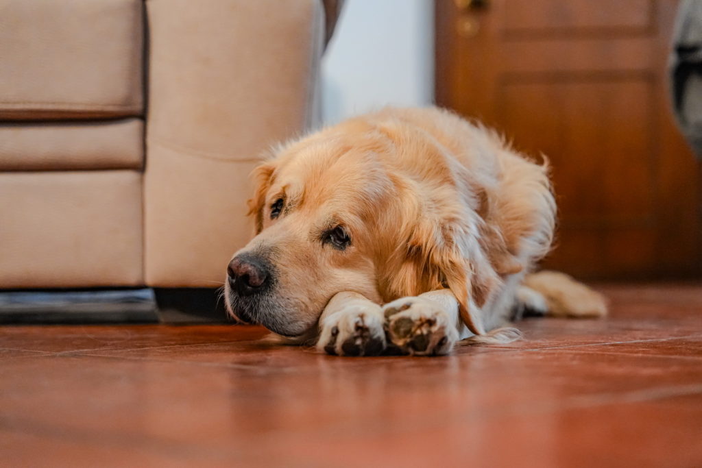 fotopuntoit_sony_a7-v_prova_16