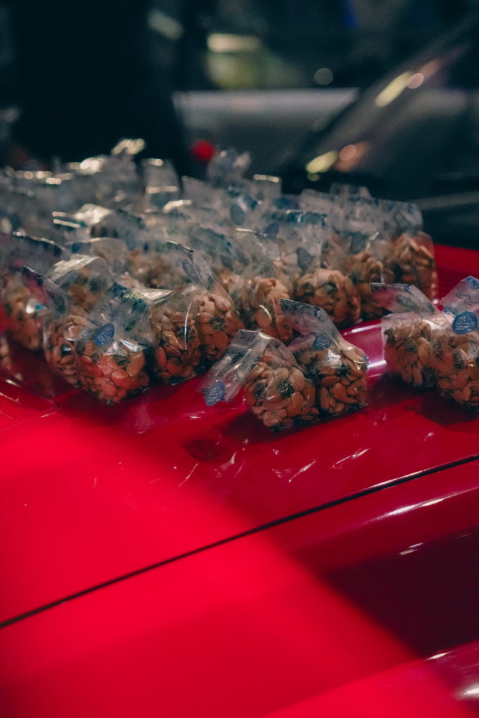 fotopuntoit_sony_a7-v_prova_3