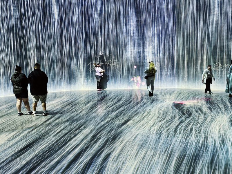 Guido alberto Rossi Rotary