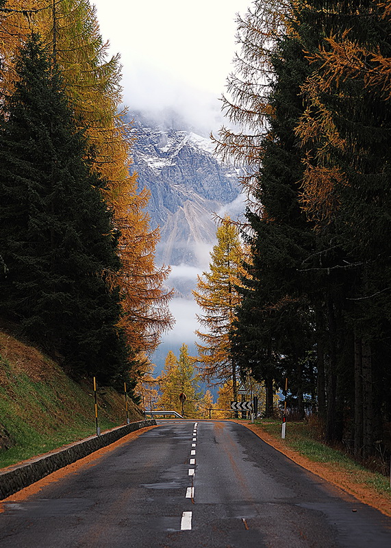 2° Premio: Claudio Cervi “Autunno”