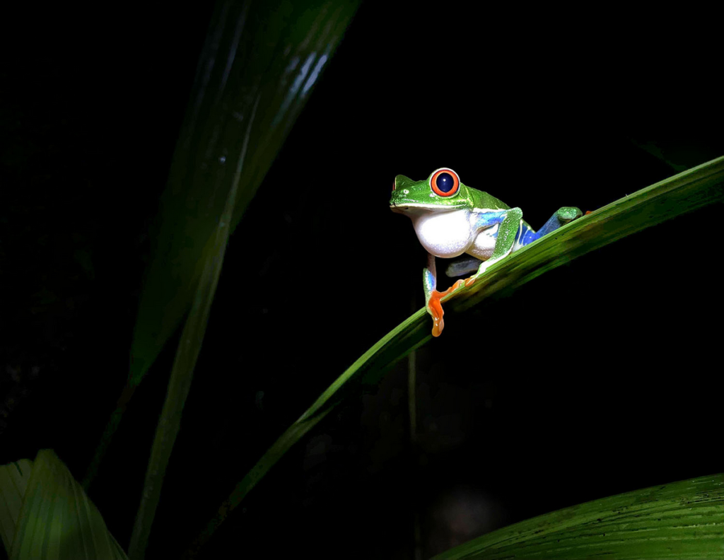 fotopuntoit_3529_9551_KeiraPereira_Canada_Youth_OpenCallShowusyourbestimages_2026