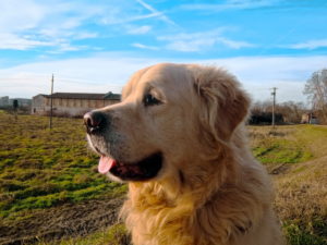 fotopuntoit_insta360_ace-pro-2_xplorer-kit-pro_prova_10