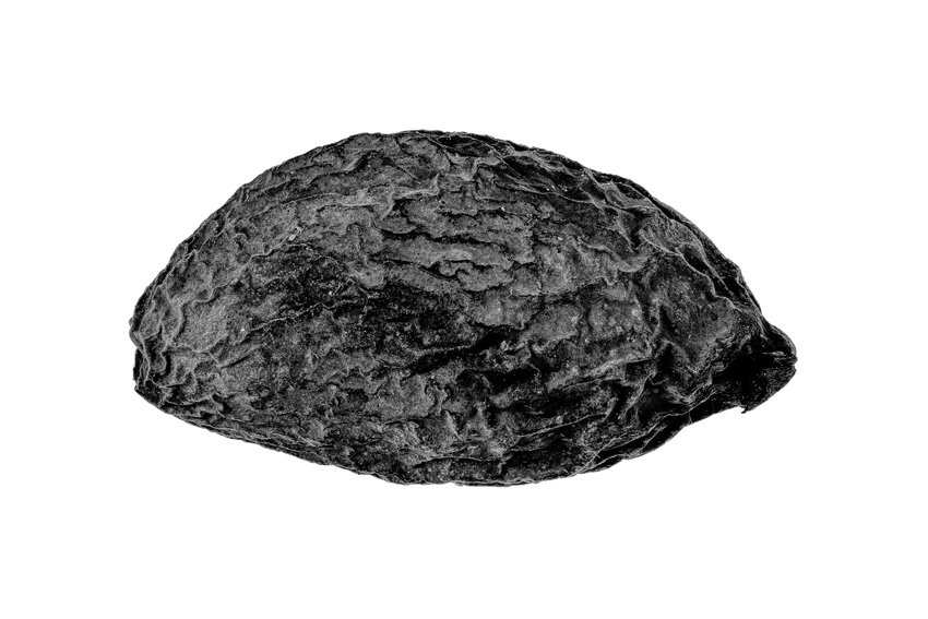 ©-Daniele-Vita-Italy-Finalist-Professional-Competition-Still-Life-Sony-World-Photography-Awards-2026-1