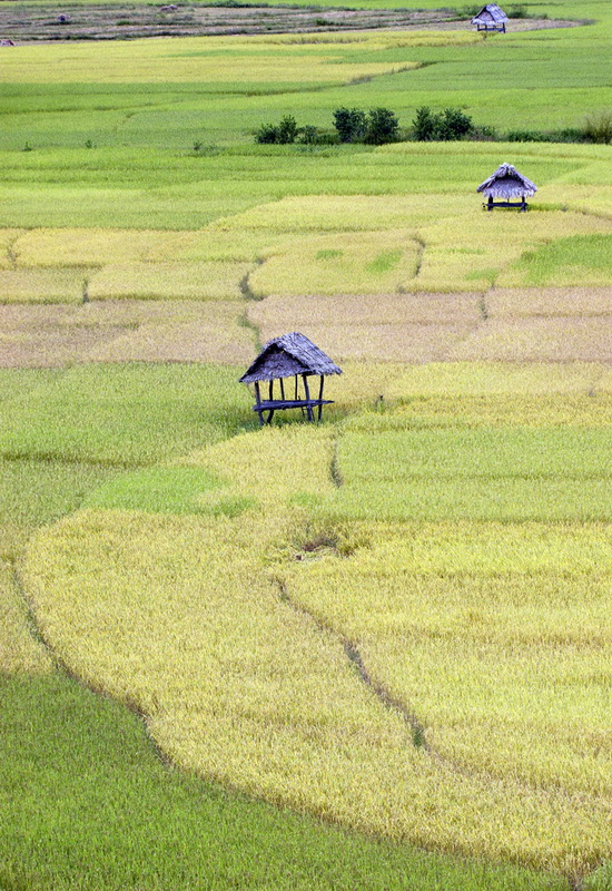 Laos e Cambogia Sui Sentieri dei Khmer