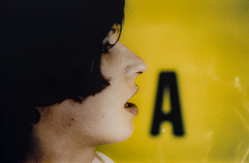 Opera di Luca Patella