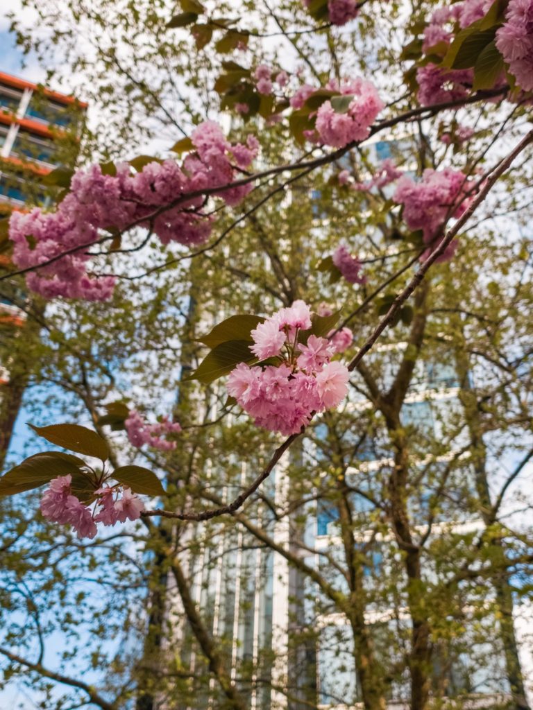 fotopuntoit_oppo_find-x9-ultra_street_16