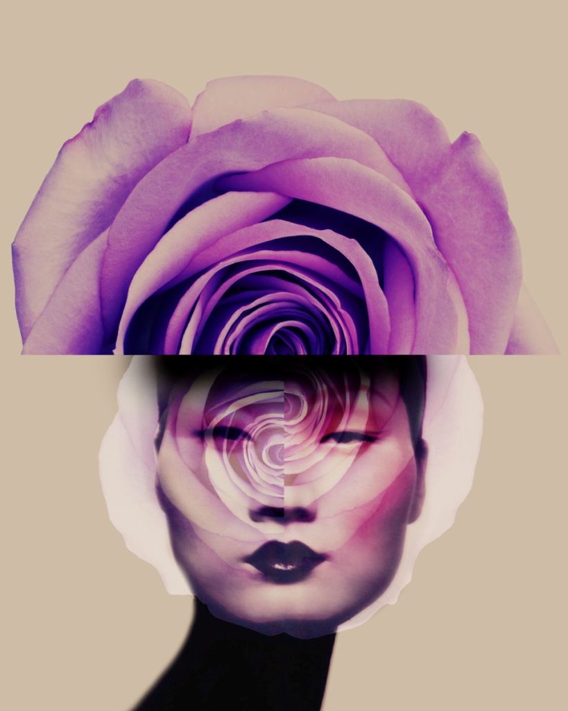 fotopuntoit_gastel_rewind_Untitled-Flowers-23-2020-1536x1920