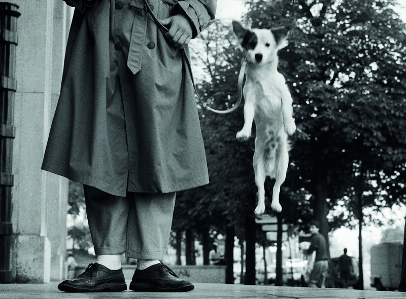 Elliott Erwitt, FRANCE, Paris, 1989; 50x60cm © Elliott Erwitt