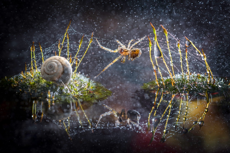 Alberto Ghizzi Panizza