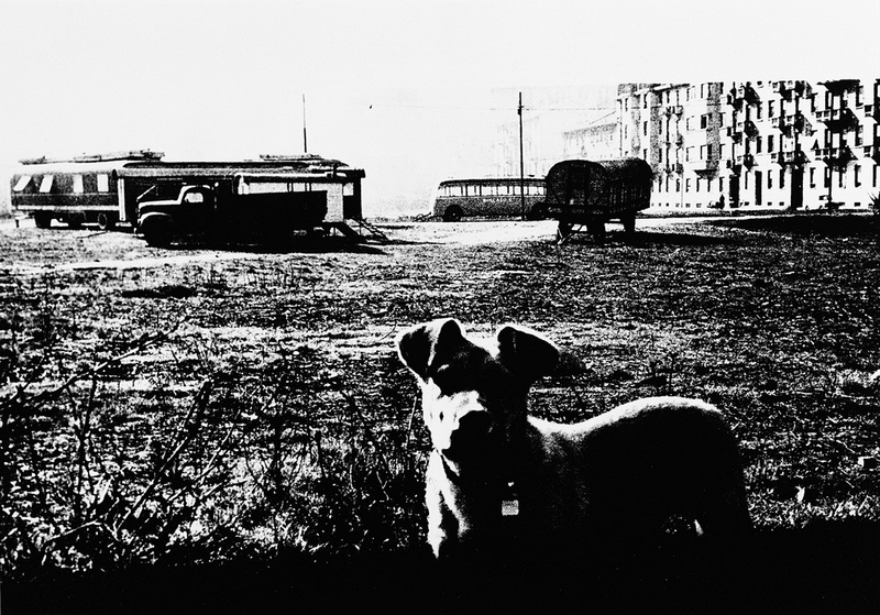 Mario Carrieri Milano
