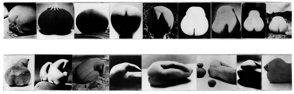 Adriano Altamira, La vie des formes - 